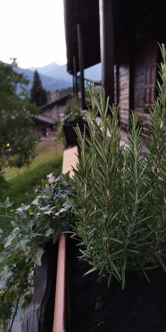 La Maison De Carmen อาออสตา ภายนอก รูปภาพ